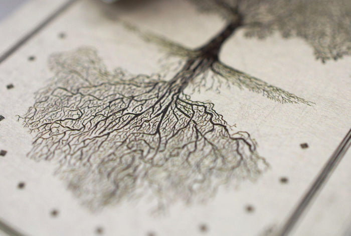 Arcana Playing Cards by Dead On Paper