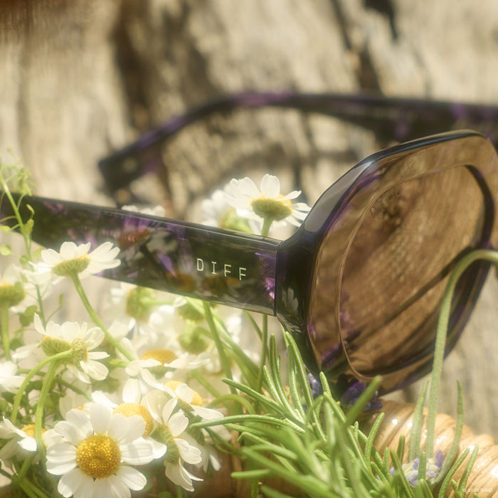 still life - diff eyewear x practical magic 2 aunt jet round sunglasses in a flower bed