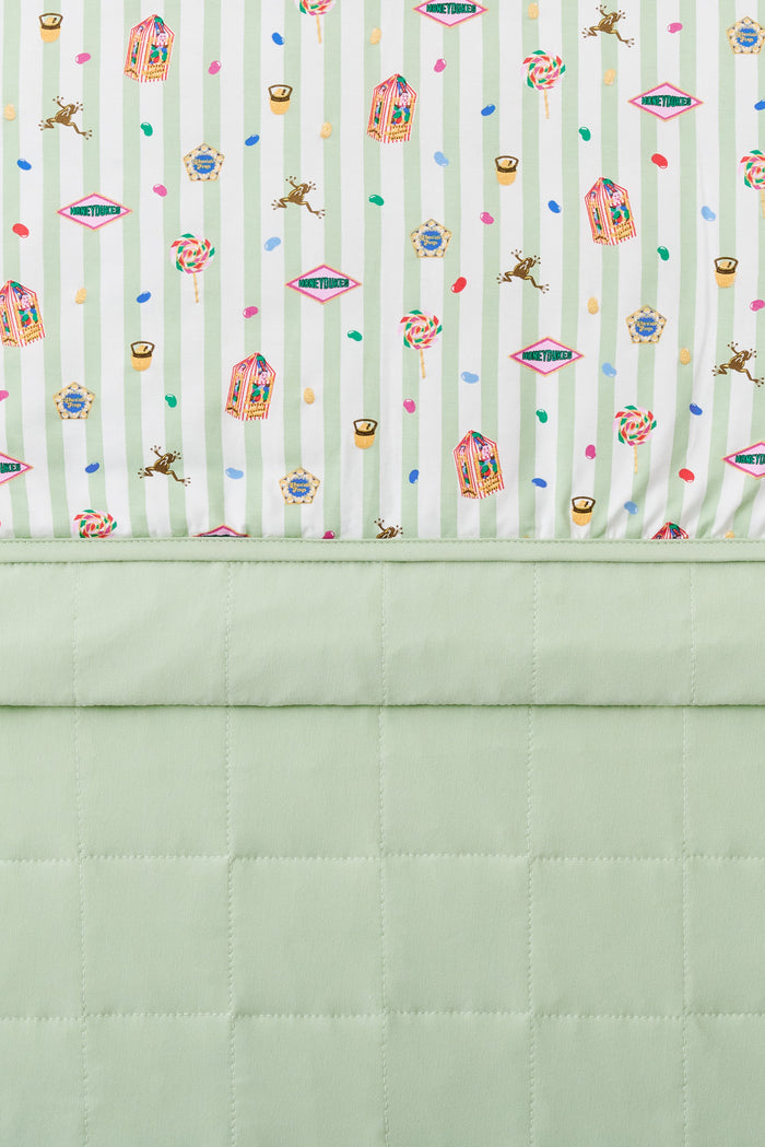 Baby blanket with colorful Harry Potter patterns print on a green and white striped fabric with light green fabric at the back.
