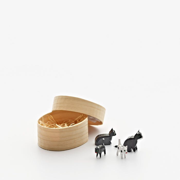 Dregeno Cat Family in Box