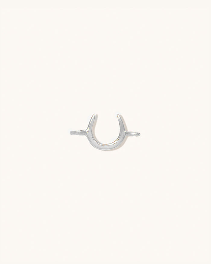Horseshoe Connector