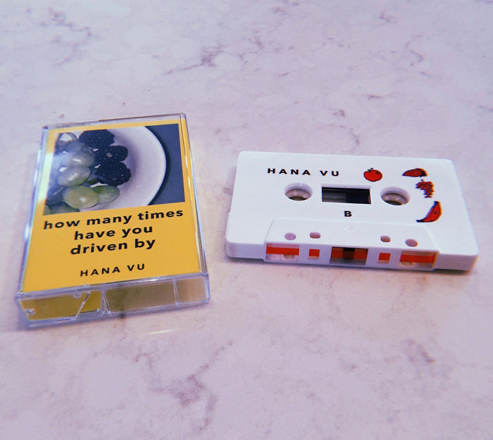 Fat Possum - How Many Times Have You Driven By Vinyl & Merch | Fat Possum Records