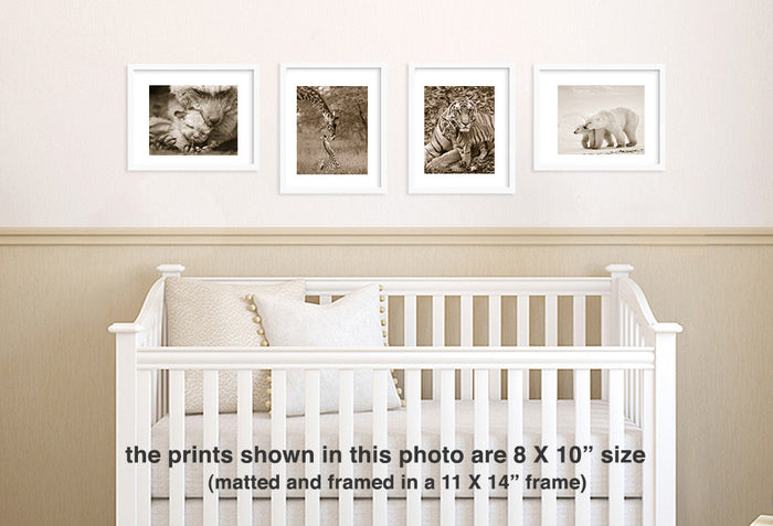 mom and baby animal sepia photos over crib