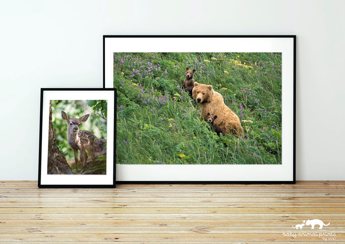 Mom and Baby Bears in Flowers Photo