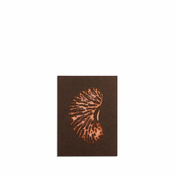 No. 5 Origins Small Print Set
