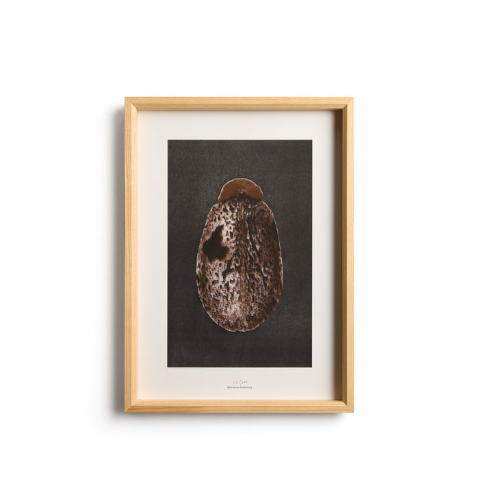 Origins No 3 Limited Print