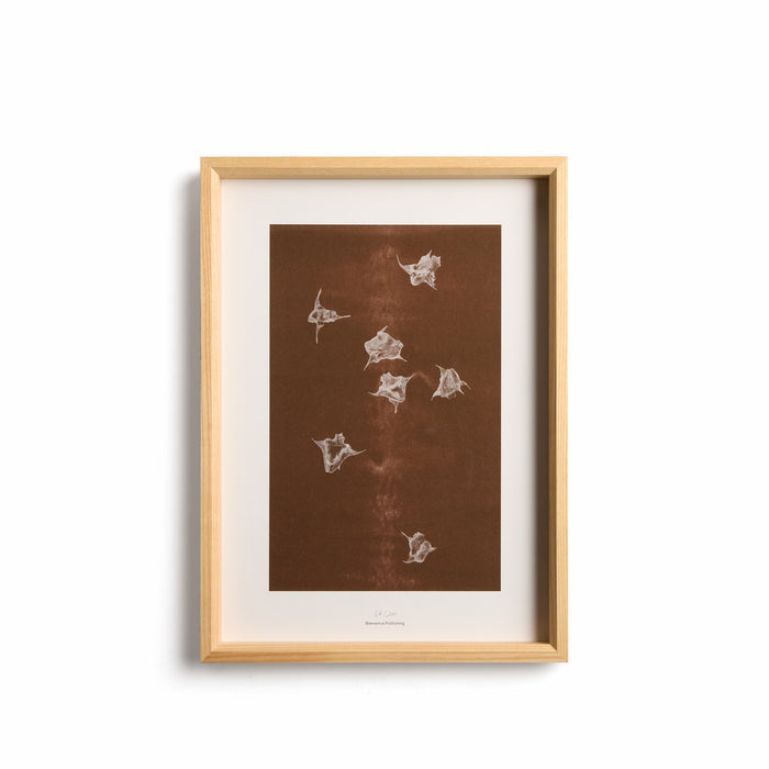Origins No 5 Limited Print