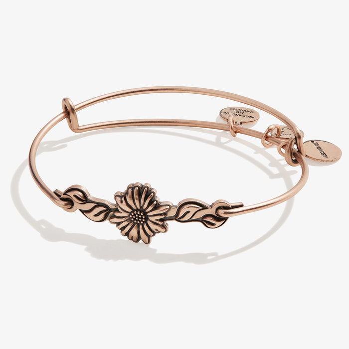Rafaelian Rose Gold