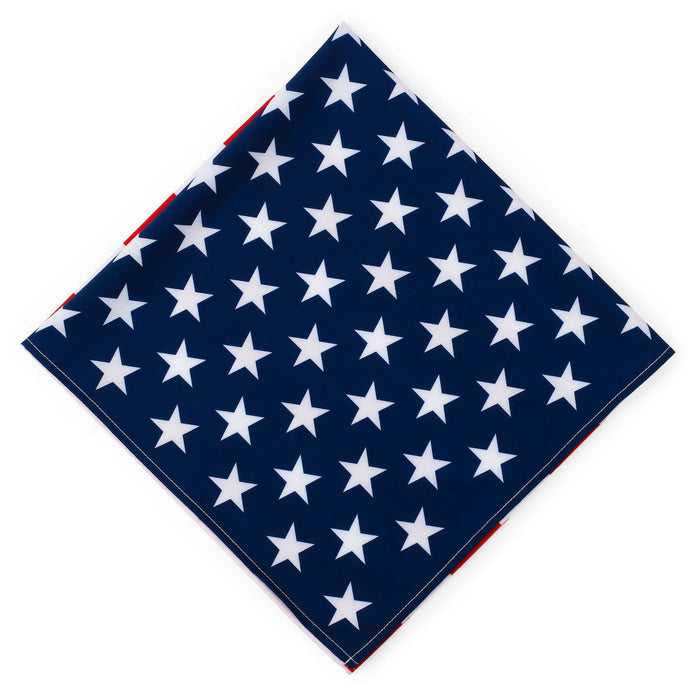 RSVLTS RSVLTS RSVLTS - Joggers Collection - FLAG DAY LAUNCH "(USA Flag Pants - Napoleon inspired)" _ Man-Dana RSVLTS - Joggers Collection - FLAG DAY LAUNCH "(USA Flag Pants - Napoleon inspired)" _ Man-Dana