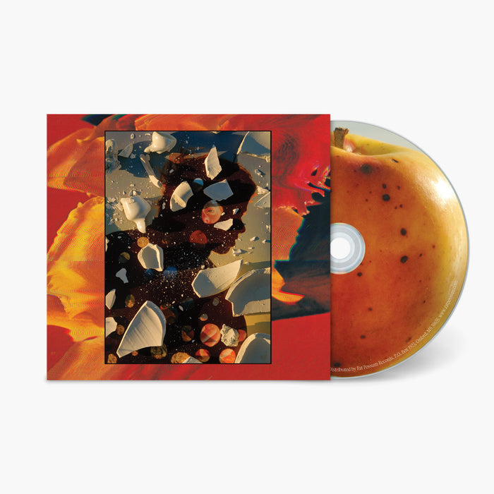 Fat Possum - Sugar The Bruise Vinyl & Merch | Fat Possum Records