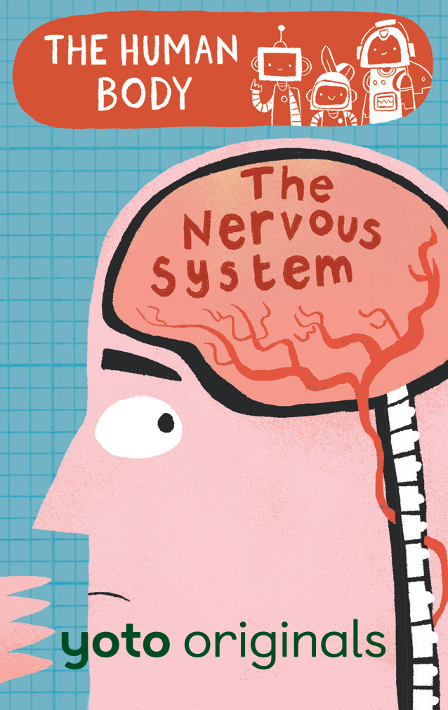 The Human Body: The Nervous System