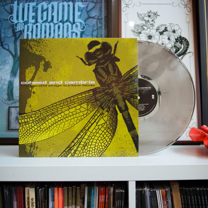 Photo of the vinyl on a bookshelf in an office.