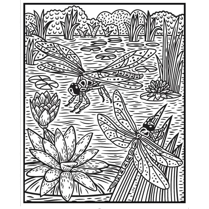 Usborne Magic Painting Book - Bugs