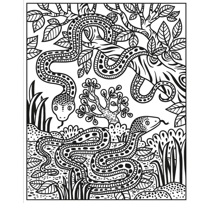 Usborne Magic Painting Book - Zoo