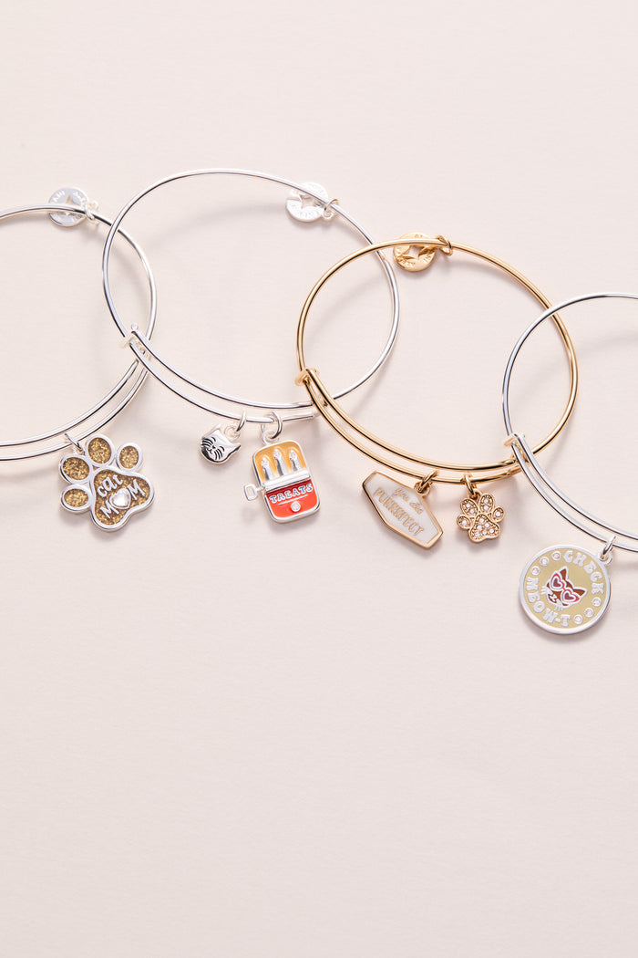 You Are Purrrfect Charm Bangle