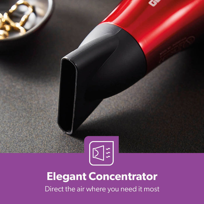 2000W IONIC Professional Two-Speed Hair Dryer
