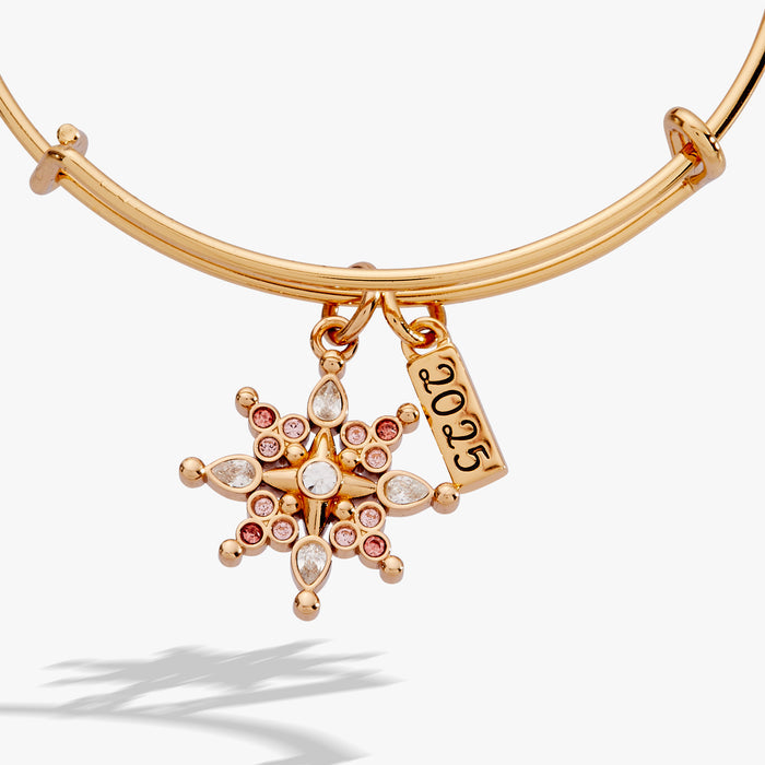 2025-black-friday-limited-edition-snowflake-bangle-2-AO250938FSG