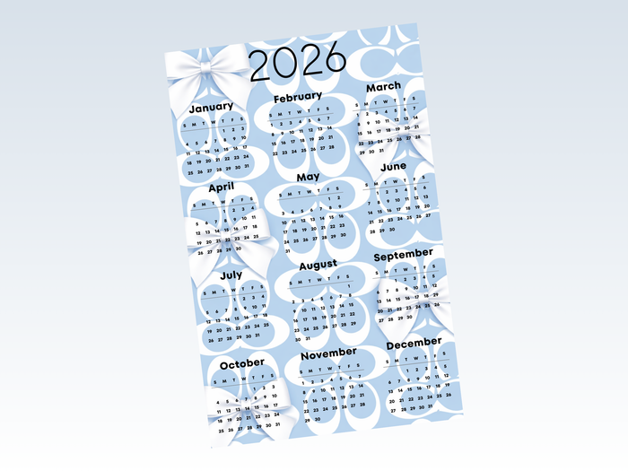 2026 Year at a glance | A5 Rings | Blue Coach Bows