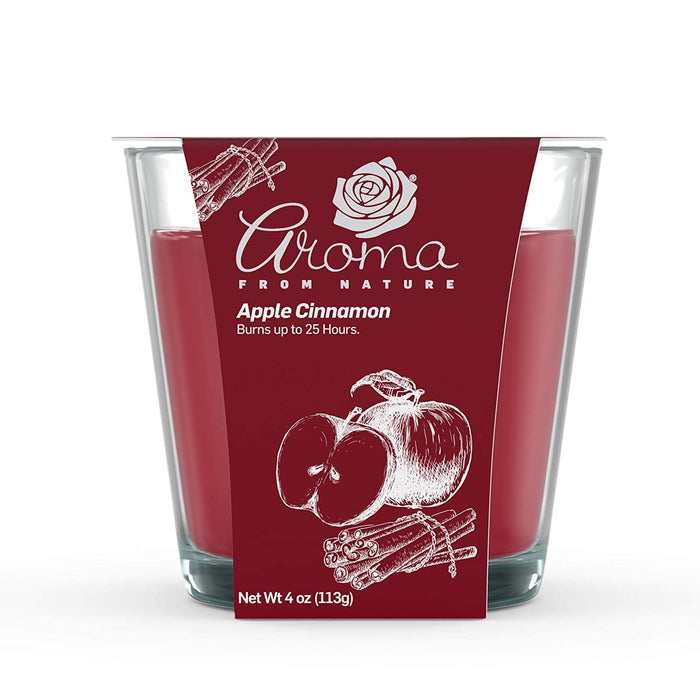 AIRECARE AROMA DOUBLE WICK CANDLE APPLE CINNAMON 1CT - AADWCAC1CT