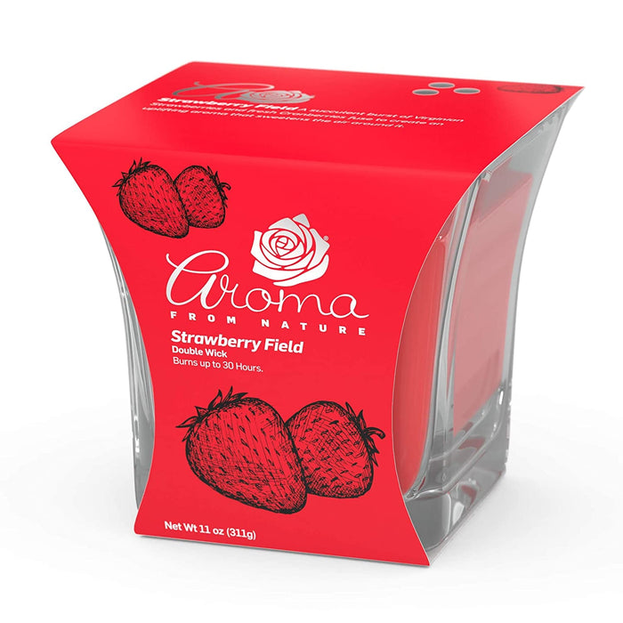 AIRECARE AROMA DOUBLE WICK CANDLE STRAWBERRY FIELD 1CT - AADWCSF1CT