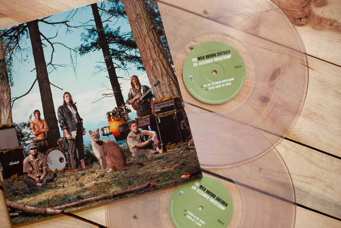 A limited edition vinyl from Wild Orchid Children features a cover of the band and a llama in a forest. Two transparent records sit on wood, with the album cover leaning diagonally above them.
