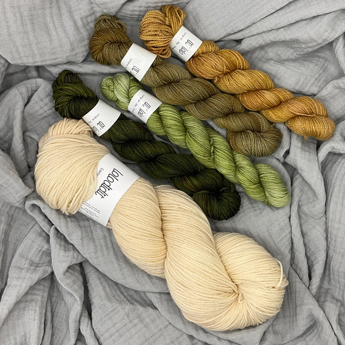 Kit 8