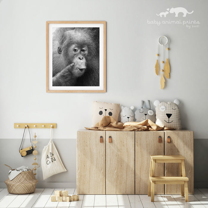 Baby Orangutan Portrait