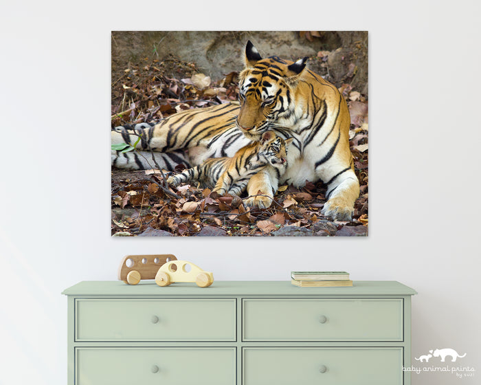 Baby Tiger Snuggling Mom Photo
