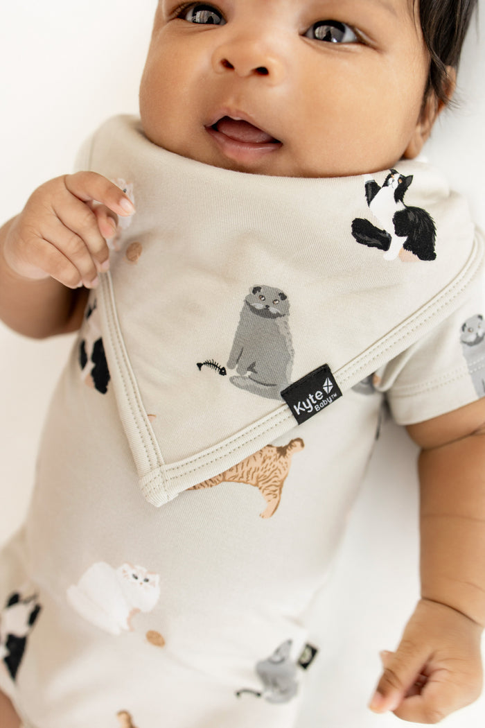 Infant wearing the Bib in Fluffy Cat with matching short sleeve bodysuit