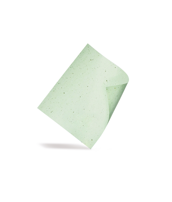 Blotting paper