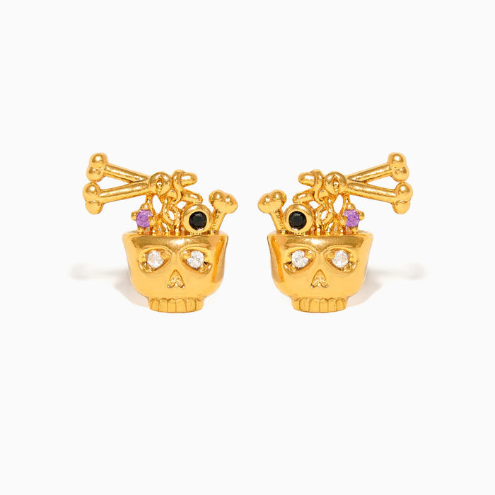 Bone Broth Ramen Studs