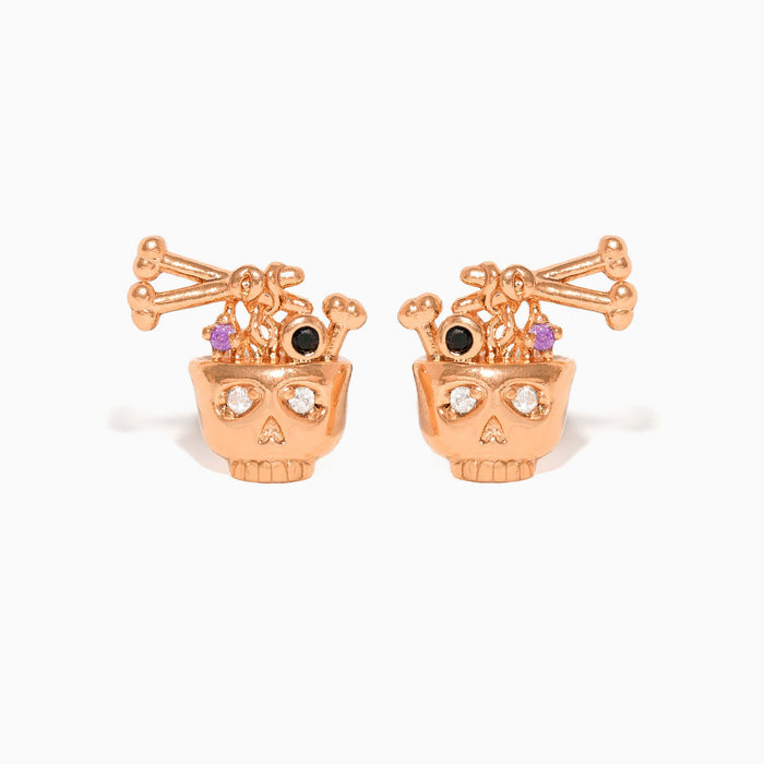 Bone Broth Ramen Studs