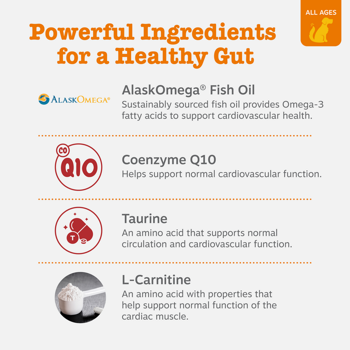 Infographic listing key ingredients with icons: AlaskOmega Fish Oil, Coenzyme Q10, Taurine, and L-Carnitine for dog cardiovas