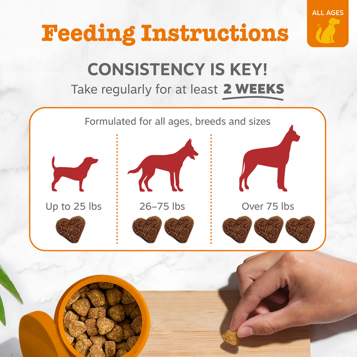 Feeding instructions card showing dosage by dog size with silhouettes and heart-shaped treats, hand holding single treat abov