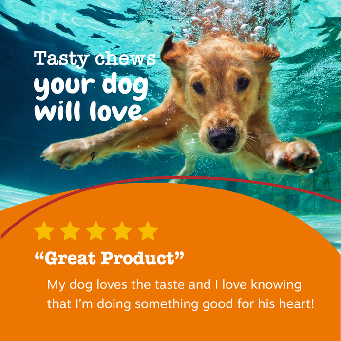 Golden retriever swimming underwater in a pool with paws extended toward camera.