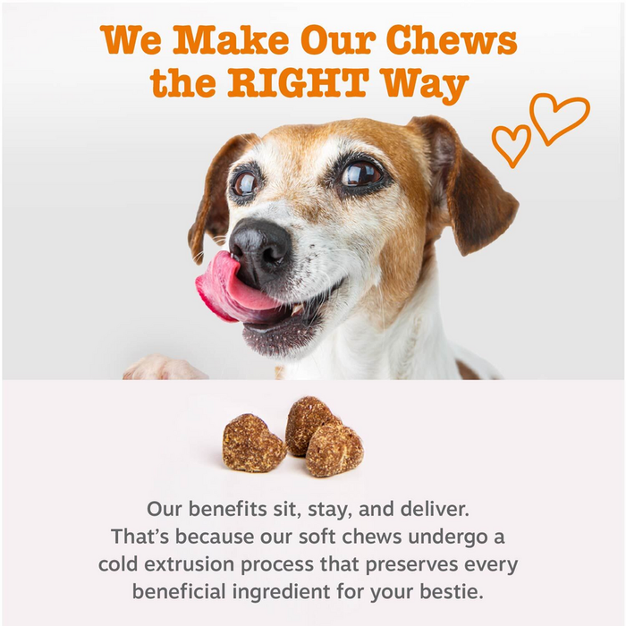 Brown and white dog with pink tongue next to three brown soft chew treats on white background.