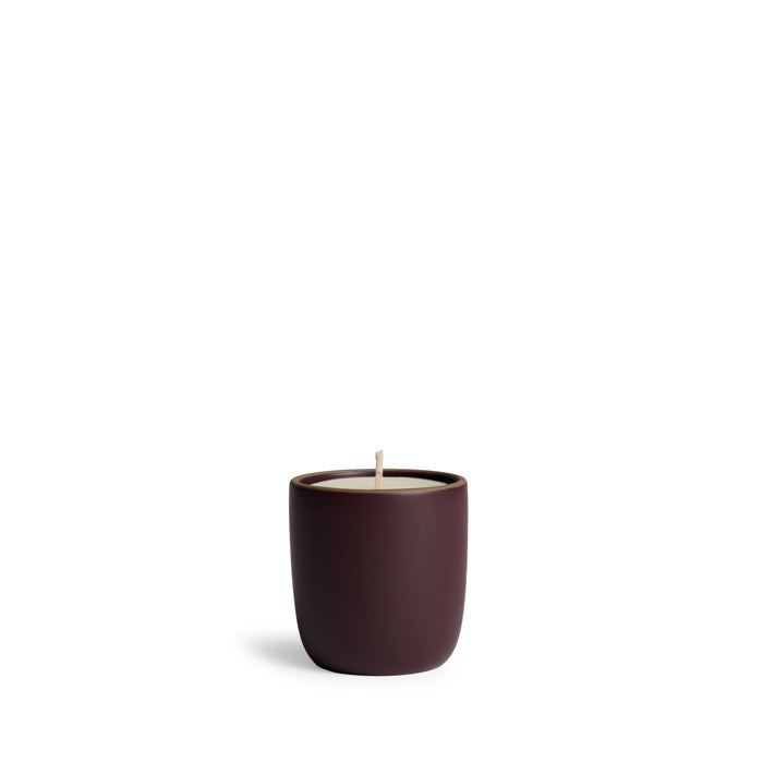 Cedarwood and Sage Candle in Taproot