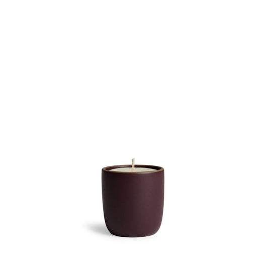 Cedarwood and Sage Candle in Taproot