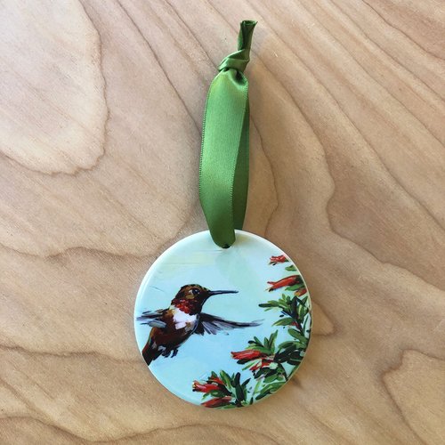 Rufous Hummingbird