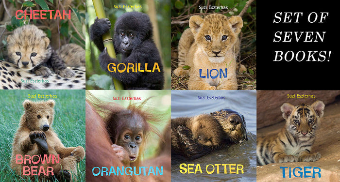 Children's Books, "Eye on the Wild" ⎯ Set of 7