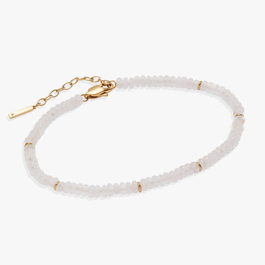 Stainless Steel Gold