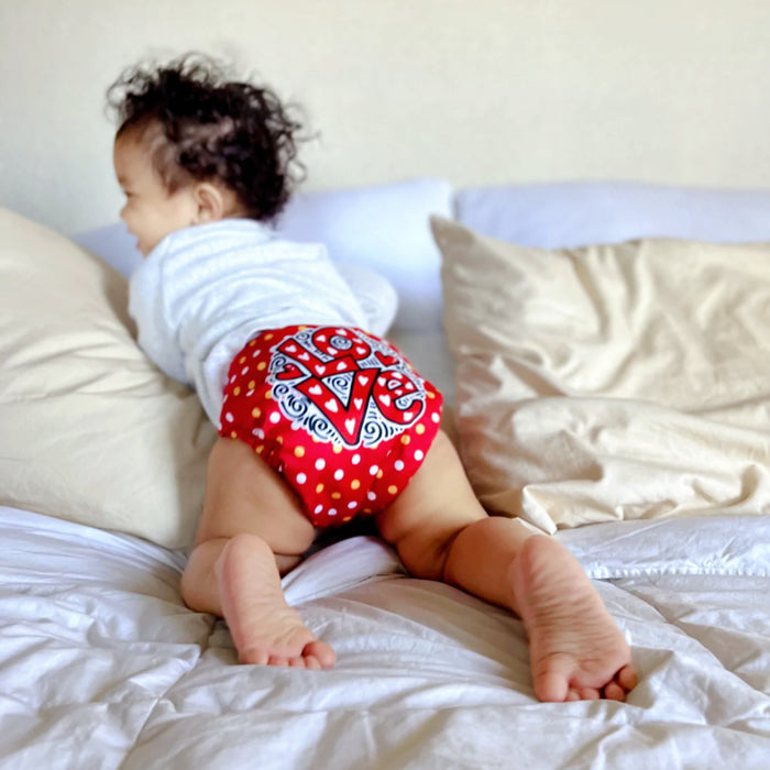 Clearance Pocket Diaper 2.0- PD49041Z-A(AWJ Lining)