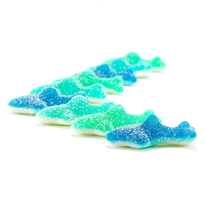 Clever Candy Sour Sharks - 6.6lbs
