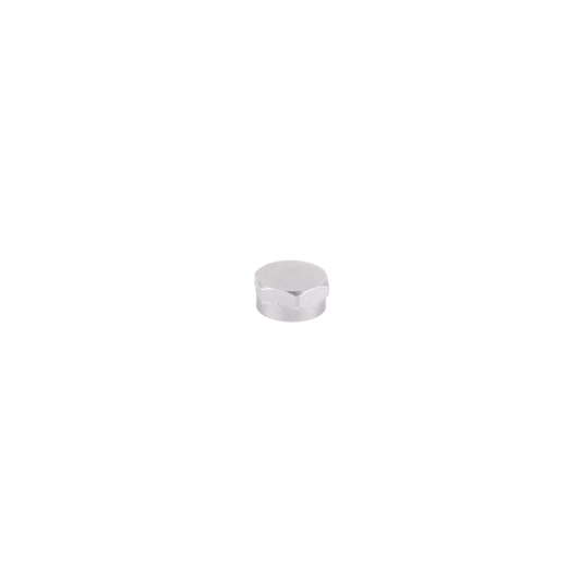 Connector Cap (Alexa Mini A-Box)