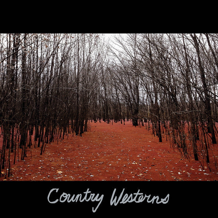 Fat Possum - Country Westerns Vinyl & Merch | Fat Possum Records