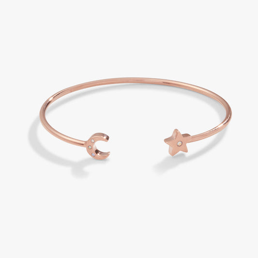 Shiny Rose Gold