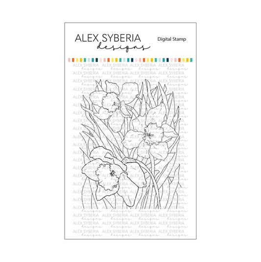 Daffodils Digital Stamp