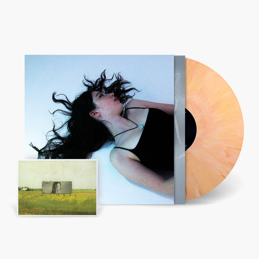 Alaska Reid - Disenchanter Vinyl & Merch | Fat Possum Records