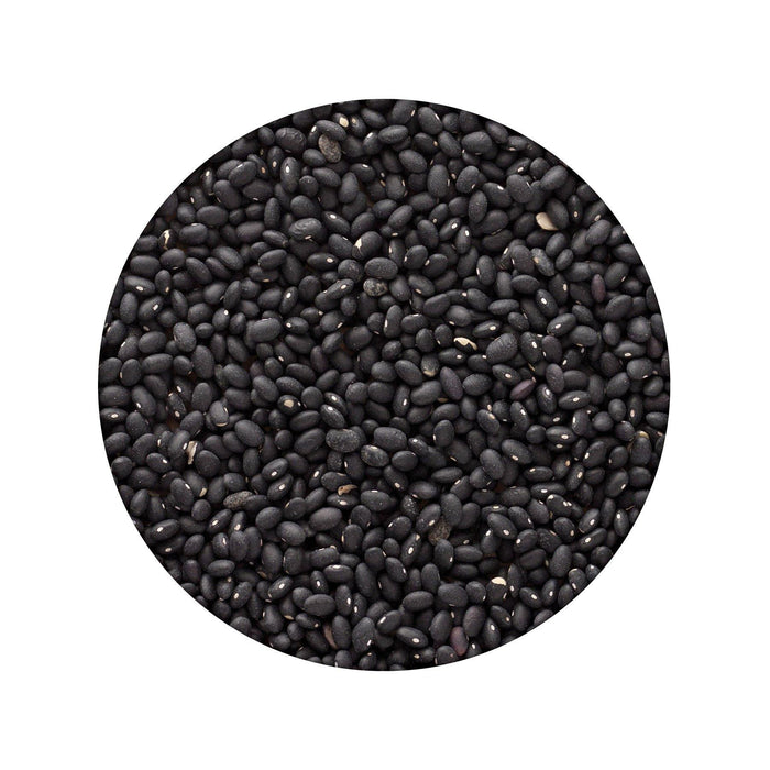 Emergency Essentials Black Beans #10