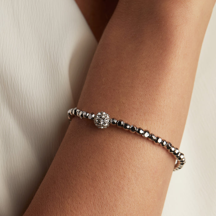 Shiny Silver